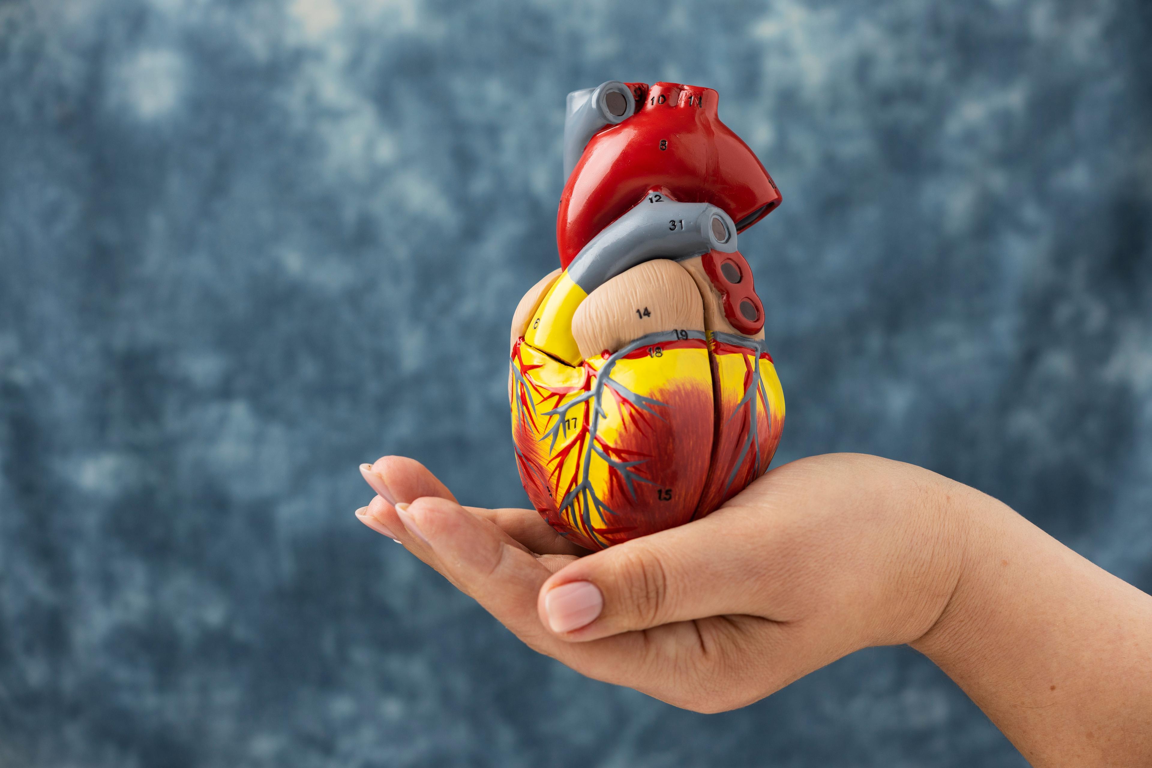 Imagem da noticia: Qual a relação da maconha com os riscos de problemas cardíacos? 