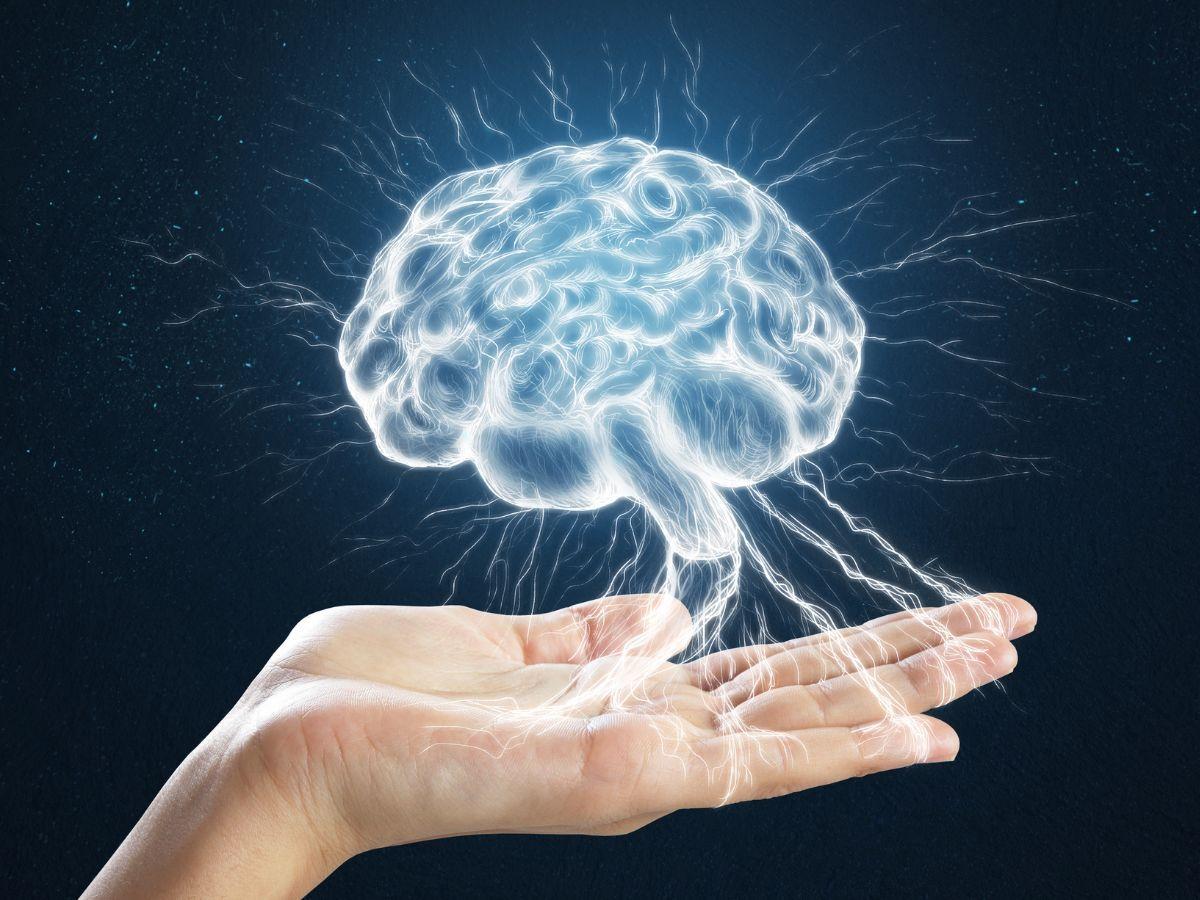 Imagem da noticia: Novo estudo aponta potencial terapêutico do Canabinol (CBN) para distúrbios neurológicos