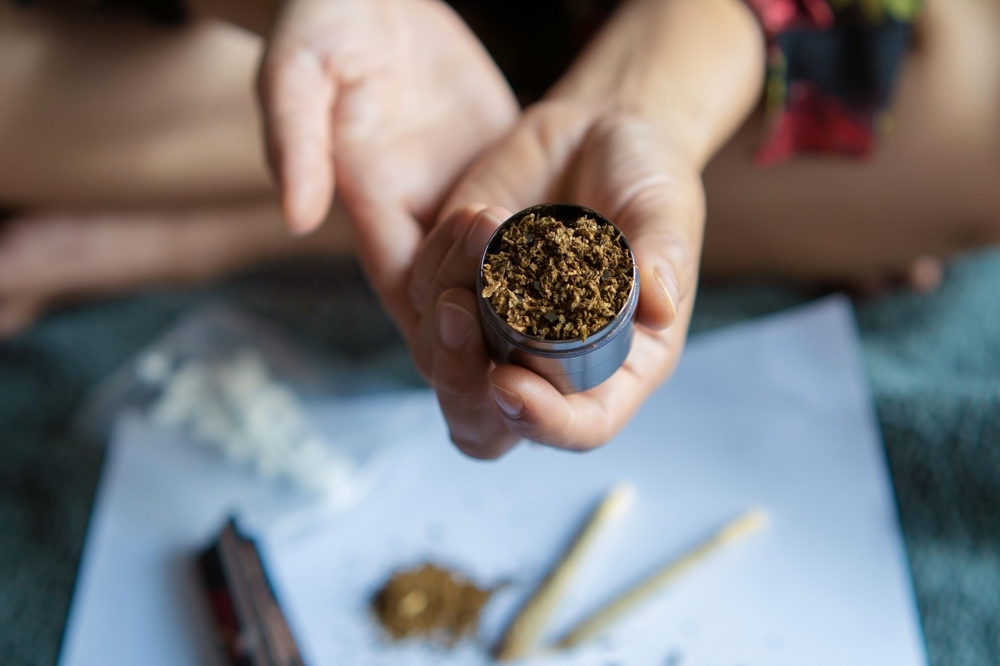 Imagem do editorial: Uso fumado da cannabis faz mal? Entenda os efeitos na cognição e na saúde mental