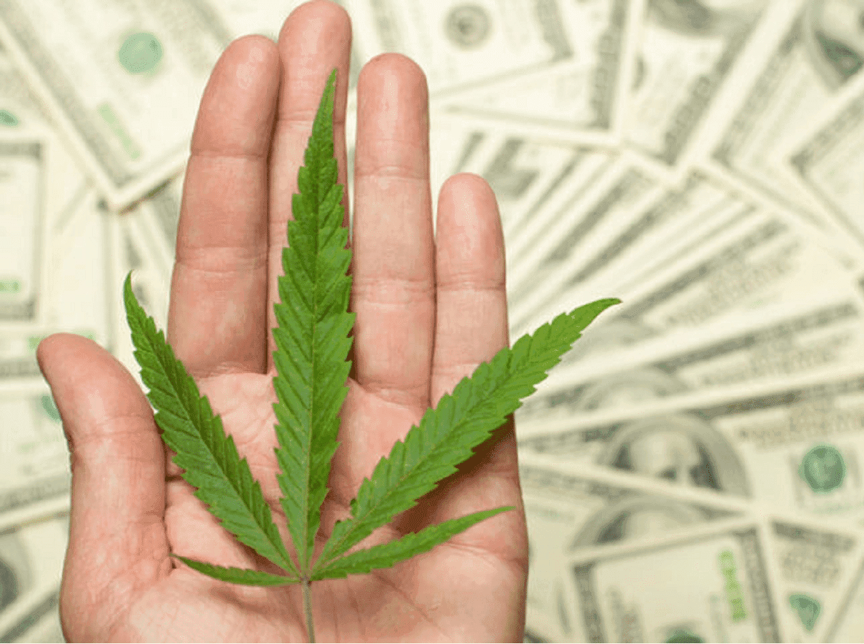 Imagem do editorial: Cannabis medicinal atinge US$150 milhões em vendas; uso adulto ultrapassa os US$850 milhões 