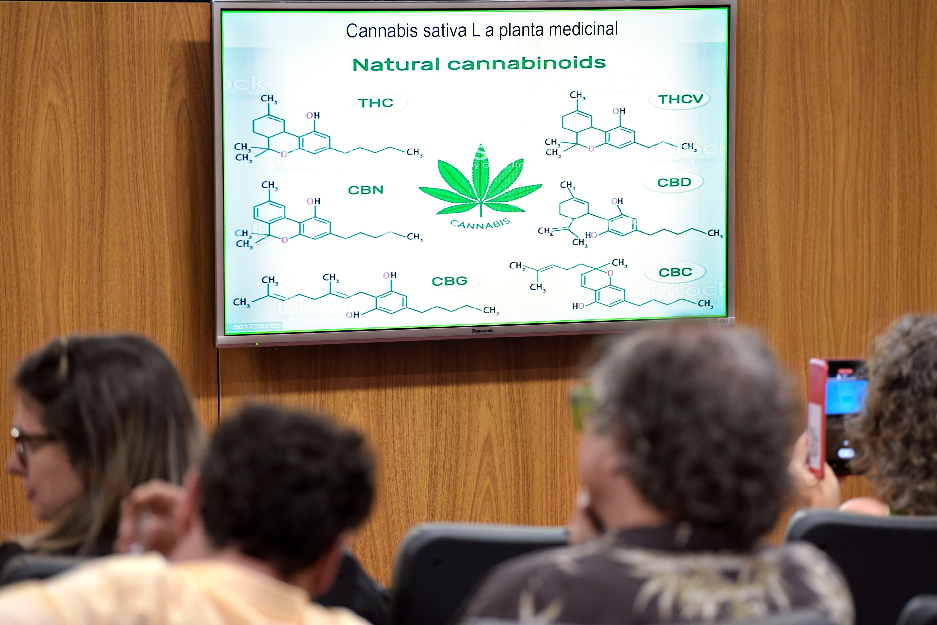 Assembleia de Minas Gerais retoma debate sobre cannabis e ciência