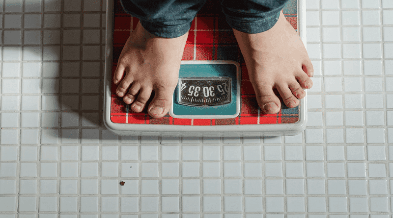 CBD e obesidade: pesquisa e compreensão atual
