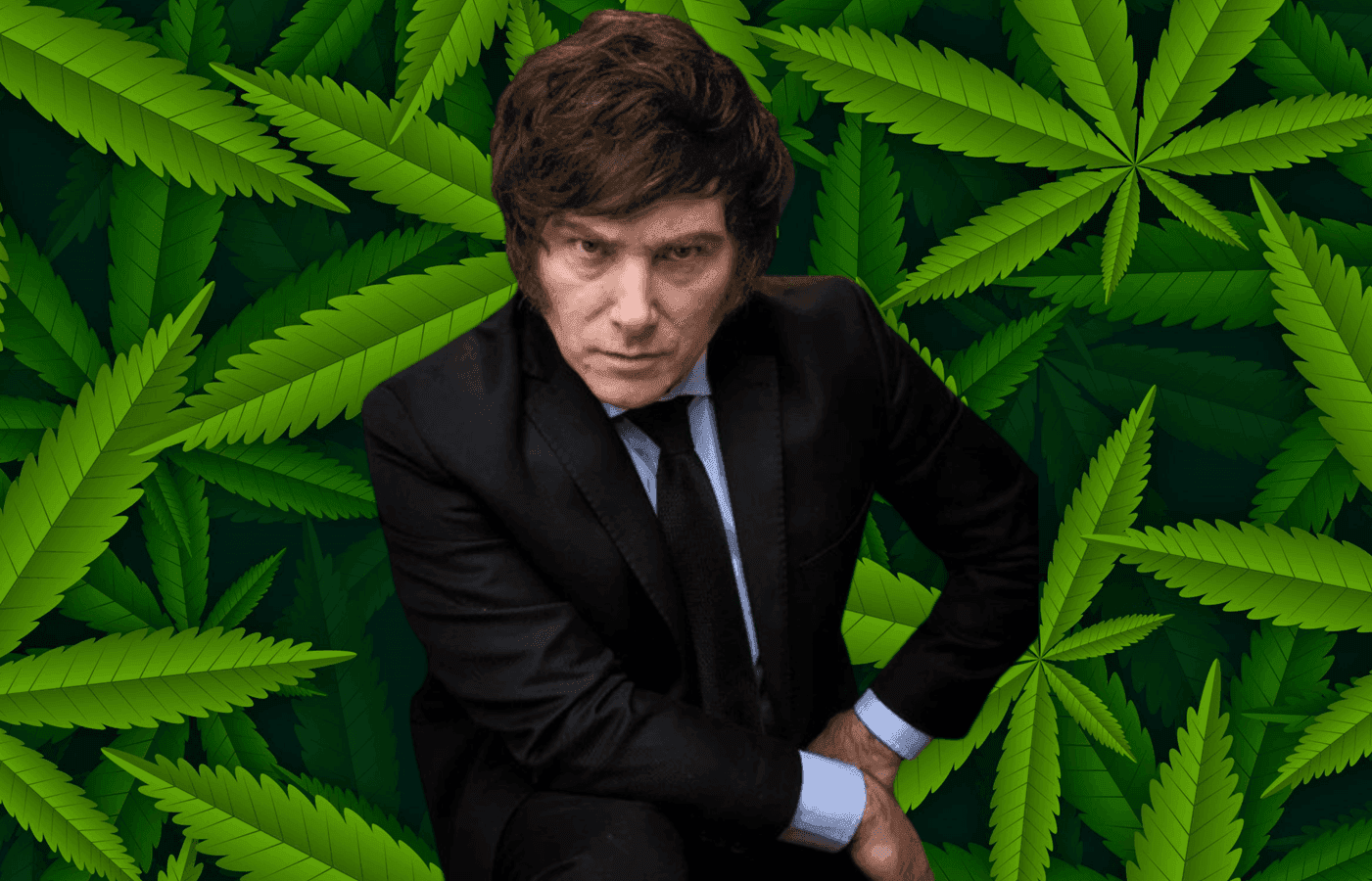 Primeiros sinais de cannabis na era Milei 