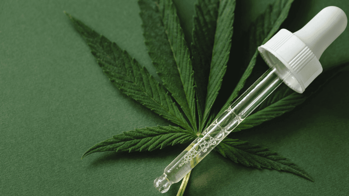 Europa pode aprovar primeiro remédio de cannabis de planta completa