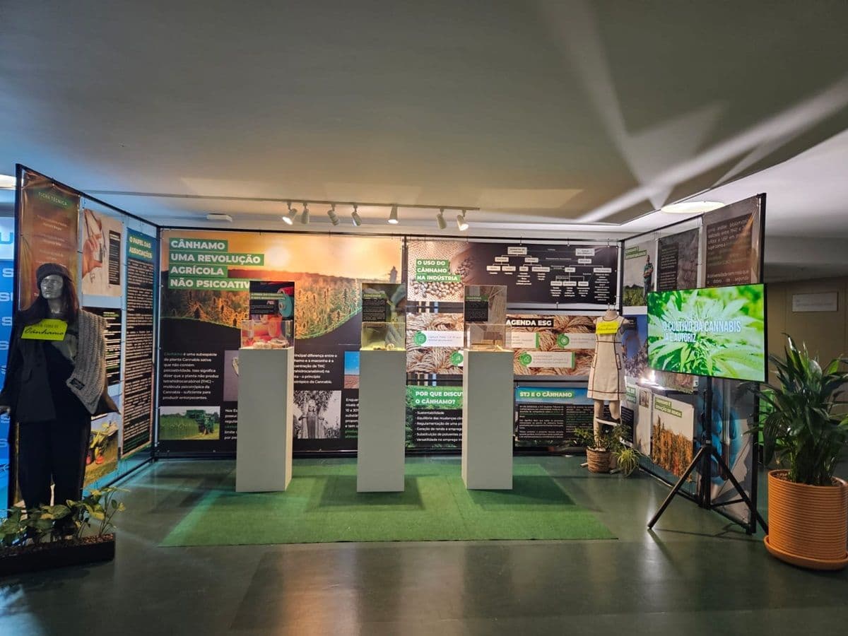 Medical Cannabis Fair em São Paulo destaca potencial do cânhamo para revolução agrícola e medicinal