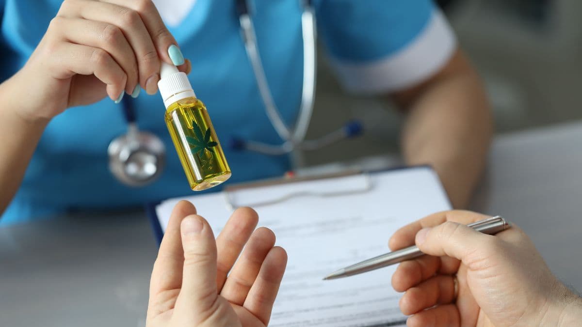 Brasil alcança 672 mil pacientes de cannabis medicinal: benefícios atraem cada vez mais adeptos