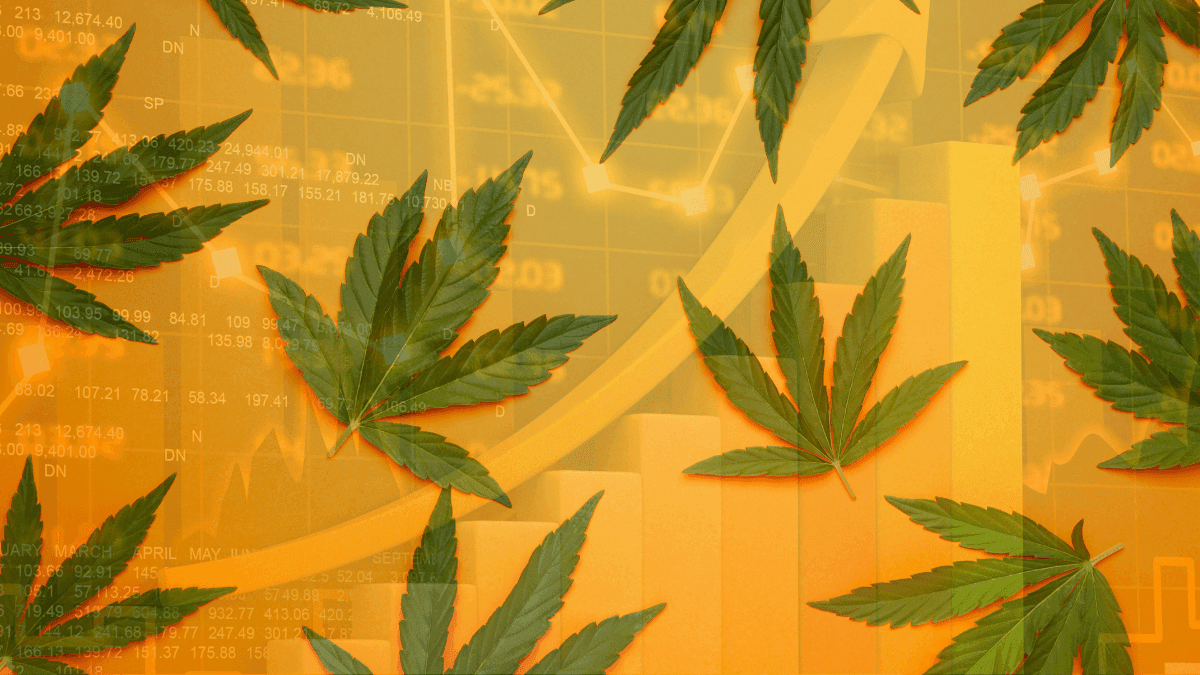 Mercado de cannabis medicinal no Brasil tem projeção de R$ 1 Bilhão até final de 2025