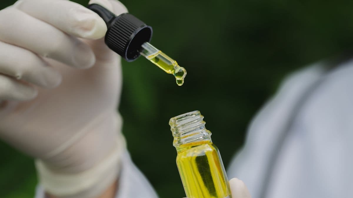 Italian Court Suspends Decree Restricting CBD Sales and Classifies Substance as Medication