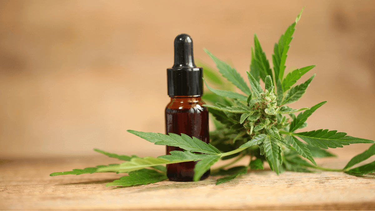  CBD ganha espaço no bem-estar: especialista explica benefícios e limites