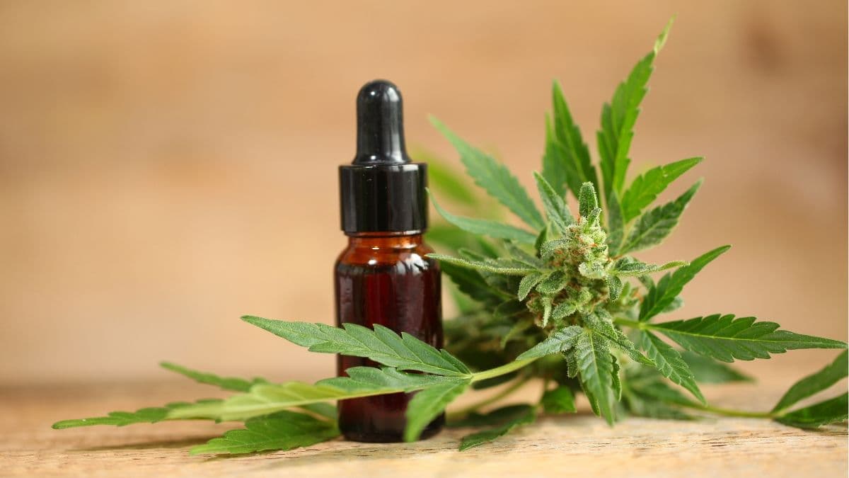 Justiça do Rio Grande do Sul determina fornecimento de canabidiol a criança com epilepsia