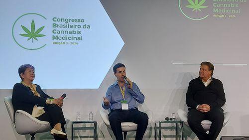 Democratização e futuro do mercado de cannabis medicinal no Brasil