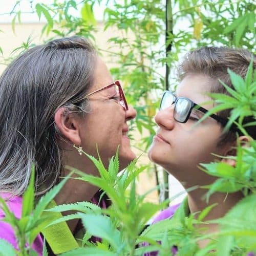 Como a cannabis tem ajudado a tratar milhares de pacientes no Brasil