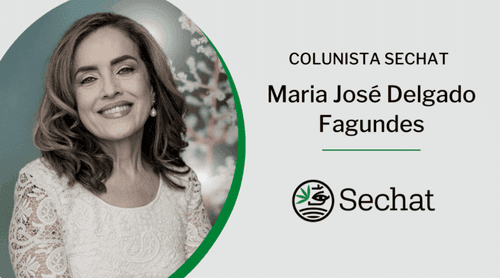 Acesso à cannabis, boa-fé e trabalho