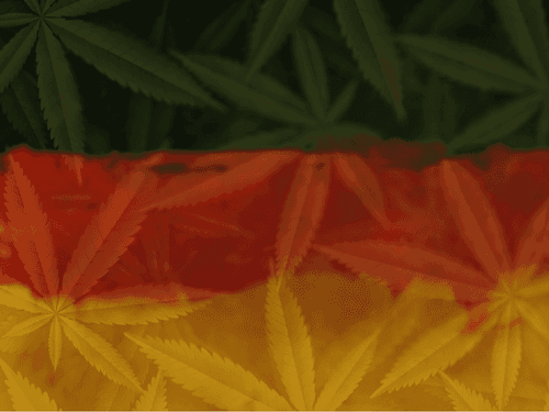 Alemães dizem sim à maconha