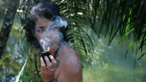 Cannabis in the feminine: ancestral roots and healing power