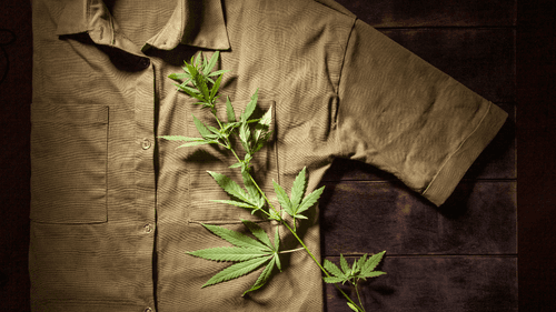 Start-up britânica levanta €5 milhões para produzir tecidos ecológicos que substituem couro e plásticos