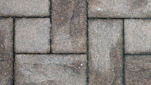 Imagem da noticia: Crise habitacional em Portugal: cânhamo, menos burocracia e mais inovação