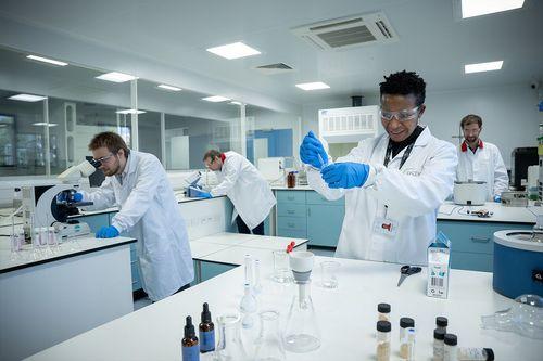 Primeiro tetrahidrocanabinol (THC) sólido é lançado pela Brains Bioceutical Corp 