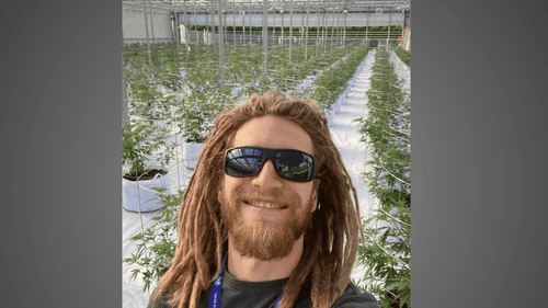 Hijo de Caco Ciocler cambia Brasil por Canadá para cultivar cannabis y defender derechos de los jardineros