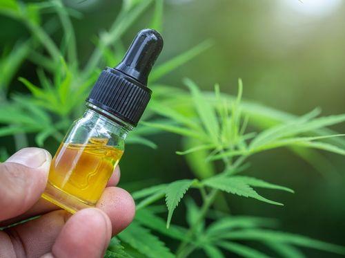 CBD potencializa os efeitos do THC ao invés de mitigá-los, aponta novo estudo sobre cannabis