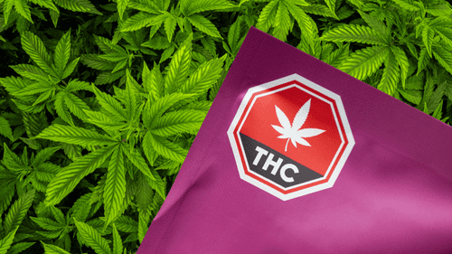 Empresas de cannabis em Illinois enfrentam ação coletiva por rotulagem enganosa e excesso de THC