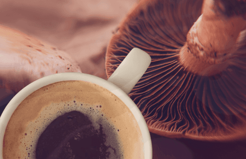 Descubra a revolução dos cafés Smush  