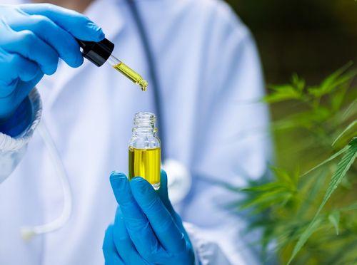  Paraná oferecerá medicamento à base de cannabis para esclerose múltipla