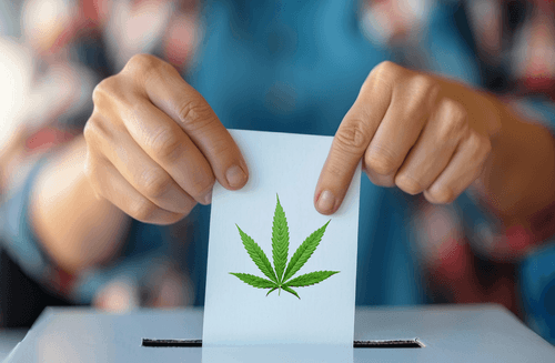 A ausência do tema cannabis medicinal nos debates sobre saúde pública