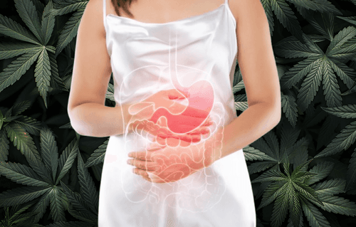 A eficácia da terapia canabinoide contra distúrbios digestivos