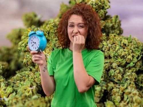 Quanto tempo dura o efeito da maconha? 