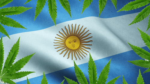 A maconha é legal na Argentina? Tudo o que você precisa saber em 2024
