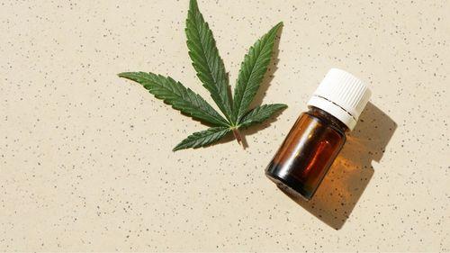 Imagem da noticia: Mercado em expansão leva Aurora Cannabis a ampliar programa de preços compassivos