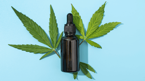 Imagem da noticia: Aura Pharma lidera mercado de Cannabis medicinal com maior portfólio do Brasil