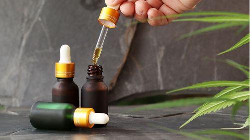 Debate sobre via de acesso à cannabis medicinal ganha força com possível revisão regulatória da Anvisa
