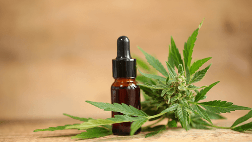 AGU recorre ao STJ para ampliar prazo de regulamentação sobre cannabis medicinal