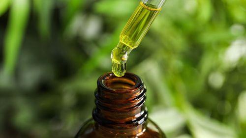 Imagem da noticia: Anvisa proíbe produtos de cannabis; empresas envolvidas alegam informações desatualizadas