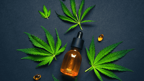 Cannabis medicinal desponta como alternativa segura ao zolpidem em meio a alerta nacional