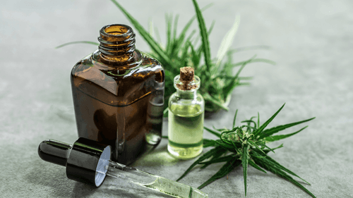 Imagem da noticia: Clinical study indicates that cannabidiol may reduce blood pressure in hypertensive patients