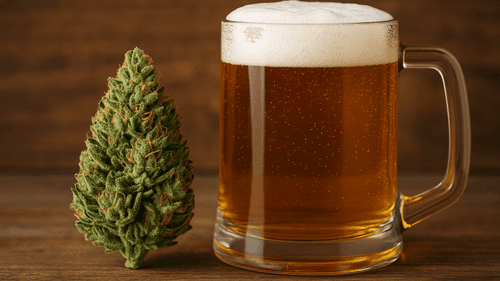 CBD ajuda a reduzir o consumo de álcool e incentiva hábitos mais saudáveis, apontam estudos