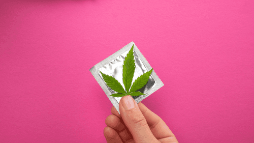 Cannabis & Prazer: quando o amor se acende com o toque da natureza