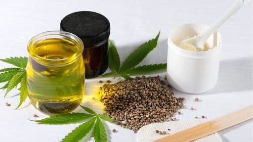 Mercado global de fibras de cânhamo deve alcançar US$ 36 bilhões até 2030