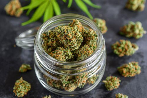 Em Barcelona, 30 clubes de cannabis são notificados para fechar as portas