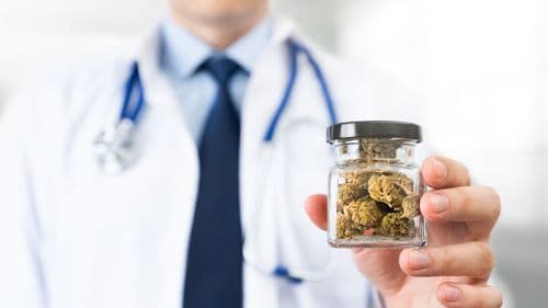 Imagem da noticia: Irani recebe Seminário Regional sobre Deficiência Intelectual e Autismo nesta quarta (19)