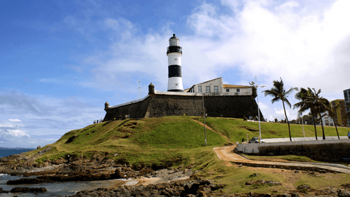 Bahia promulga lei que garante cannabis medicinal gratuita pelo SUS