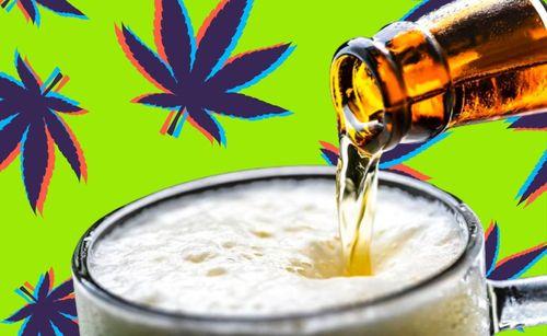 Festival em Salvador terá cerveja de cannabis 