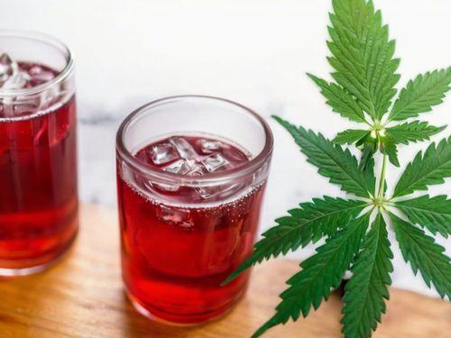 Cannabis ganha força como substituto ao álcool nos EUA, aponta pesquisa da Bloomberg