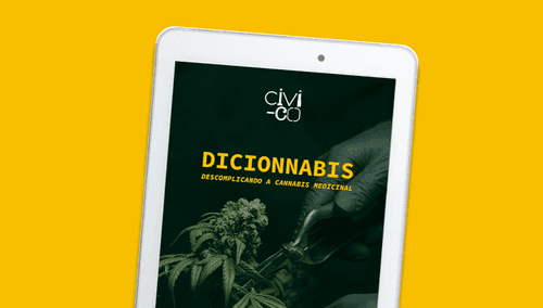 Descomplicando a cannabis medicinal
