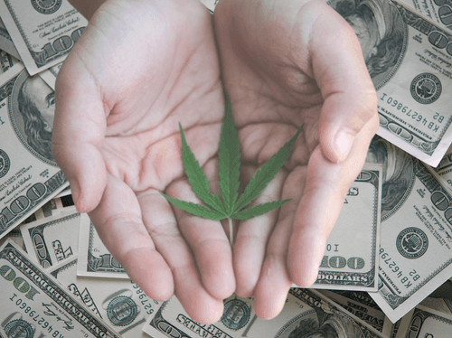 Investigação de “dumping”: Israel questiona práticas de exportação das empresas de cannabis canadenses    