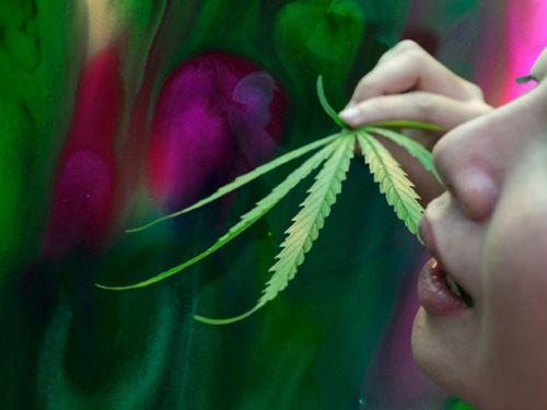 O que acontece quando maconha e psicodélicos são usados juntos? 