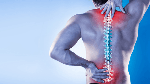 Imagem da noticia: Cannabis medicinal apresenta resultados positivos contra dor lombar crônica